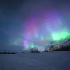 Nocne niebo nad Islandią rozświetlone zorzą polarną, niczym złoty krąg. Zielone i fioletowe pasma tańczą wśród gwiazd.