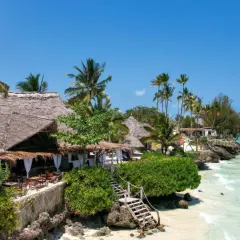 Zanzibar w styczniu: słoneczna pogoda, palmy i turkusowe morze. Tropikalny raj z plażowymi restauracjami.
