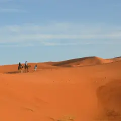 Wyprawa na wielbłądach przez pustynne wydmy. Marrakesz co zobaczyć? Poczuj magię Sahary!