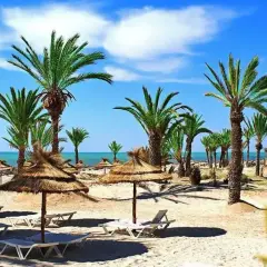 Plaża na Djerbie z palmami i słomianymi parasolami, jak z królewskiego Karthago. Idealne miejsce na relaks.