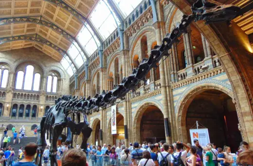 Szkielet dinozaura w holu Muzeum Historii Naturalnej w Londynie.