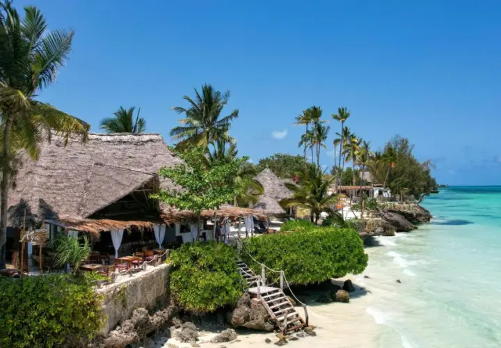 Zanzibar w styczniu: słoneczna pogoda, palmy i turkusowe morze. Tropikalny raj z plażowymi restauracjami.