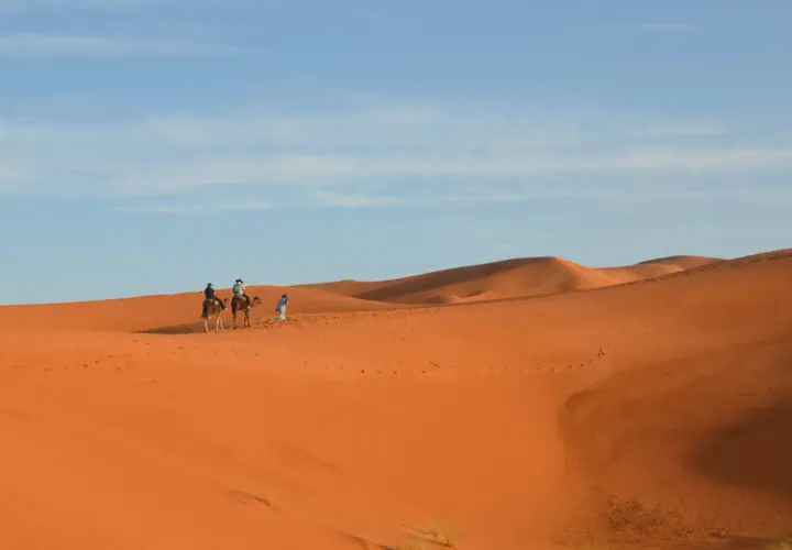 Wyprawa na wielbłądach przez pustynne wydmy. Marrakesz co zobaczyć? Poczuj magię Sahary!