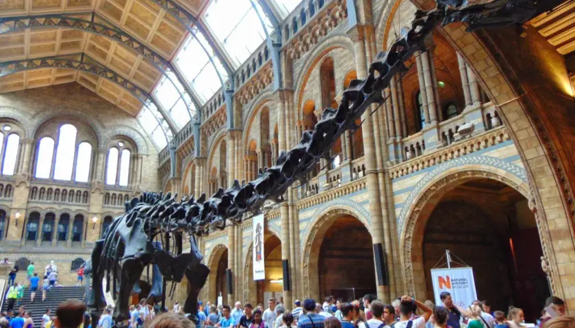 Szkielet dinozaura w holu Muzeum Historii Naturalnej w Londynie.