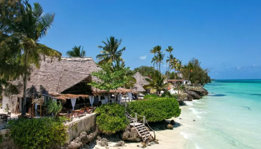 Zanzibar w styczniu: słoneczna pogoda, palmy i turkusowe morze. Tropikalny raj z plażowymi restauracjami.