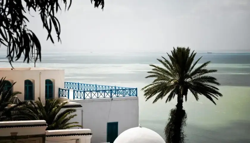 Białe budynki z niebieskimi okiennicami i balustradą, palma i morze. Czy Tunezja jest bezpieczna? Tak, to spokojne miejsce.