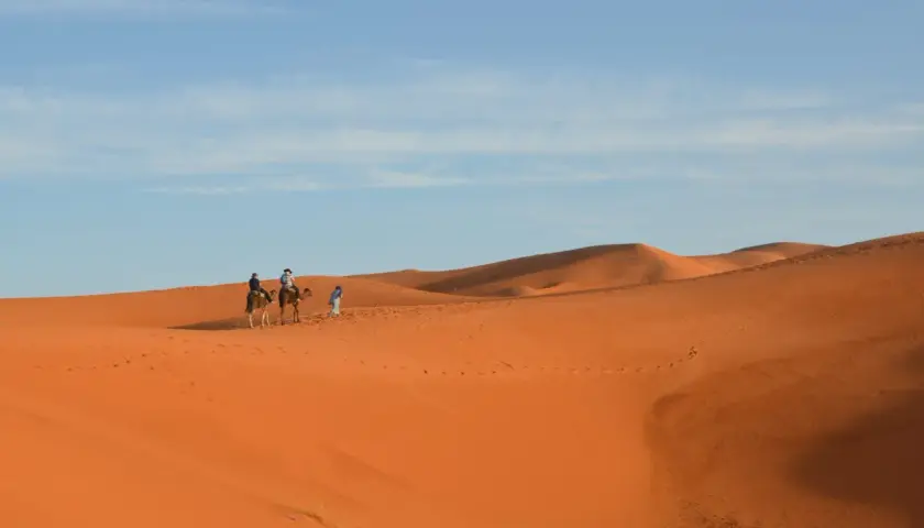 Wyprawa na wielbłądach przez pustynne wydmy. Marrakesz co zobaczyć? Poczuj magię Sahary!