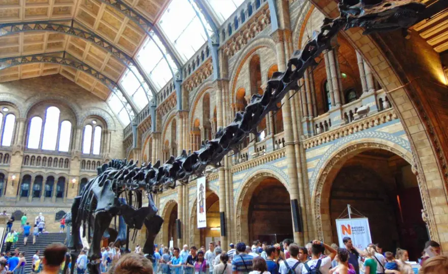 Natural History Museum Londyn - jak zwiedzać bez tłumów?