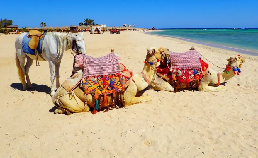 Marsa Alam - na co uważać? Poradnik przed wyjazdem