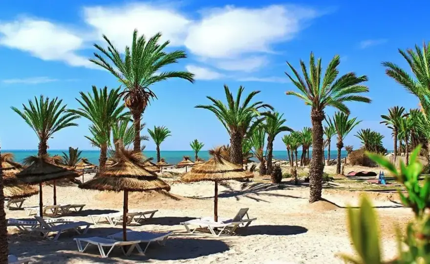Royal Karthago Djerba - Czy ten hotel jest dla Ciebie?