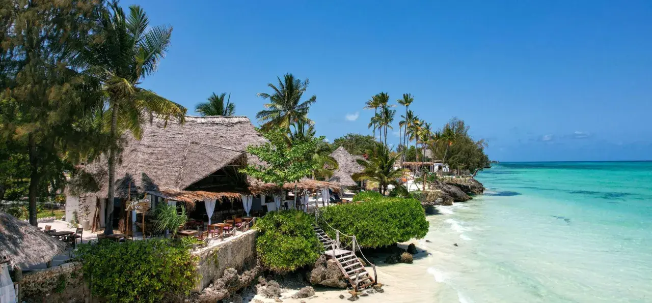 Zanzibar w styczniu: słoneczna pogoda, palmy i turkusowe morze. Tropikalny raj z plażowymi restauracjami.
