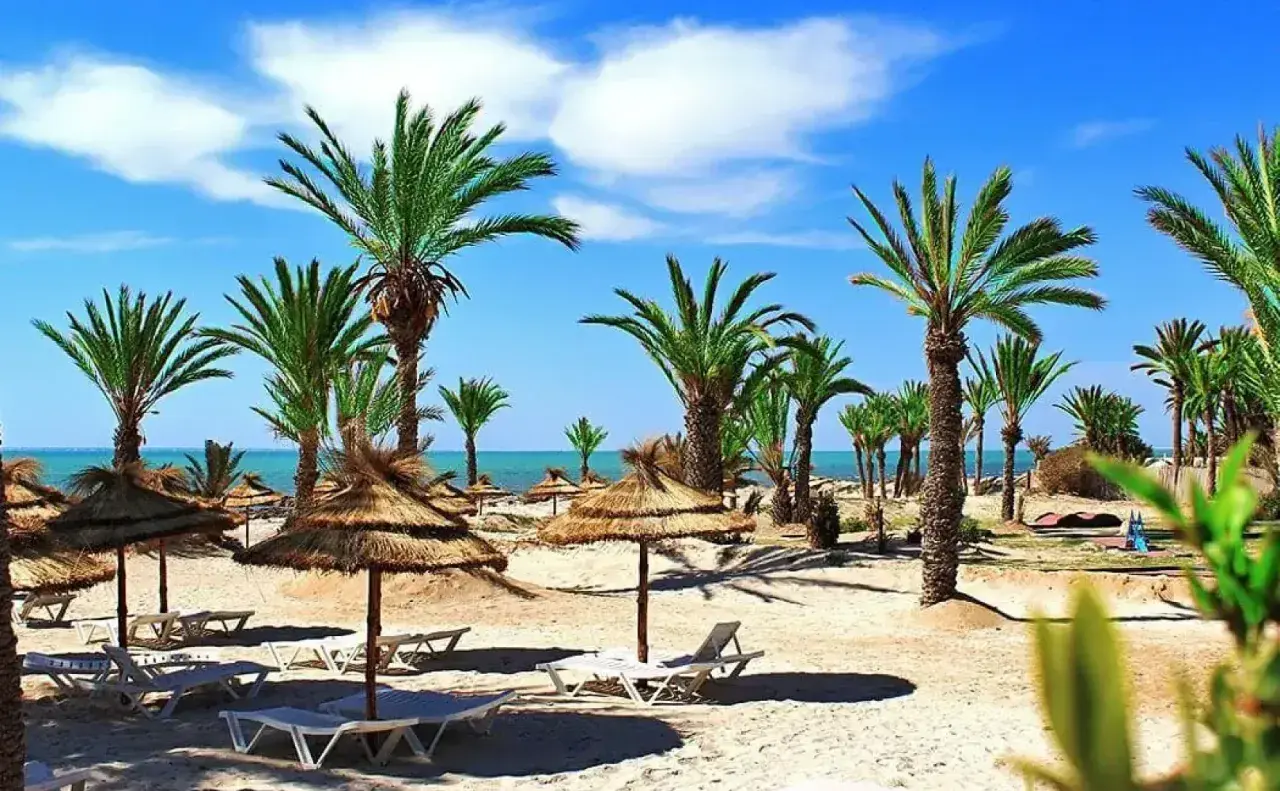 Plaża na Djerbie z palmami i słomianymi parasolami, jak z królewskiego Karthago. Idealne miejsce na relaks.
